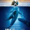 Affiche du film Miracle en Alaska, avec Drew Barrymore - sorti le 18 avril 2012