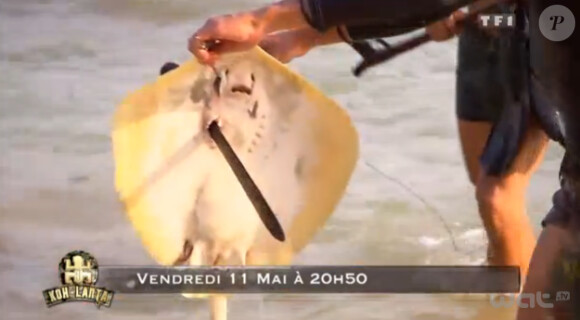 C'est l'heure de la pêche dans la bande-annonce de Koh Lanta - La Revanche des héros sur TF1 le vendredi 11 mai 2012