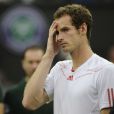 Andy Murray s'est incliné en finale de Wimbledon face à Roger Federer qui a décroché un septième titre à Wimbledon dimanche 8 juillet, égalisant le record de Pete Sampras