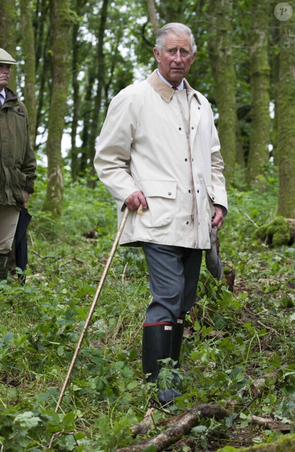 Le prince Charles s'est rendu avec trois apprentis des British Horse Loggers dans la forêt de Llwynywermod le 10 juillet 2012, au Pays de Galles.