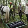 Le prince Charles s'est rendu avec trois apprentis des British Horse Loggers dans la forêt de Llwynywermod le 10 juillet 2012, au Pays de Galles.