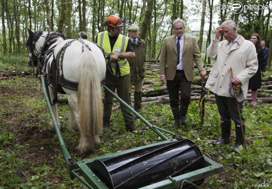 Le prince Charles s'est rendu avec trois apprentis des British Horse