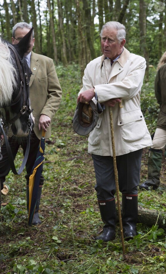 Le prince Charles s'est rendu avec trois apprentis des British Horse Loggers dans la forêt de Llwynywermod le 10 juillet 2012, au Pays de Galles.