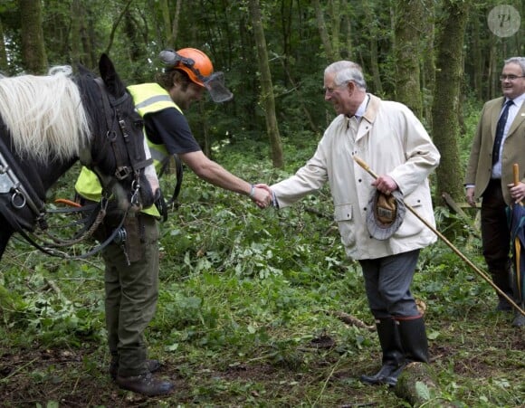 Le prince Charles s'est rendu avec trois apprentis des British Horse Loggers dans la forêt de Llwynywermod le 10 juillet 2012, au Pays de Galles.