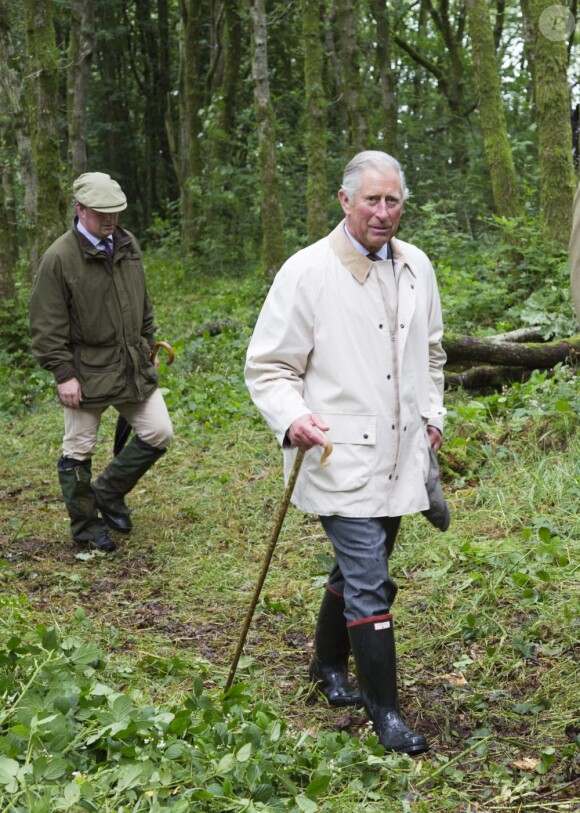 Le prince Charles s'est rendu avec trois apprentis des British Horse Loggers dans la forêt de Llwynywermod le 10 juillet 2012, au Pays de Galles.