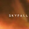 Adele - Skyfall - générique du nouveau James Bond en salles le 26 octbore 2012.