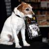 Le chien Uggie fait la promotion de ses mémoires, Uggie : The Artist, à Londres, le 30 octobre 2012