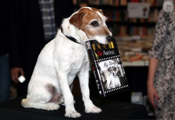 Le chien Uggie fait la promotion de ses mémoires, Uggie : The Artist, à Londres, le 30 octobre 2012