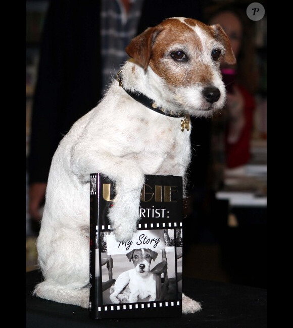 L'adorable Uggie fait la promotion de ses mémoires, Uggie : The Artist, à Londres, le 30 octobre 2012