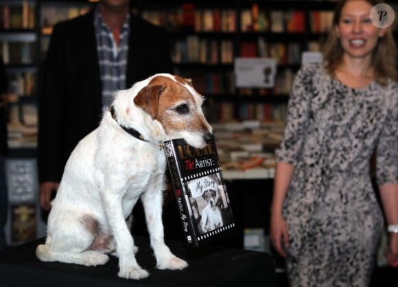 Uggie fait la promotion de ses mémoires, Uggie : The Artist, à Londres, le 30 octobre 2012 - Ce livre a du chien !