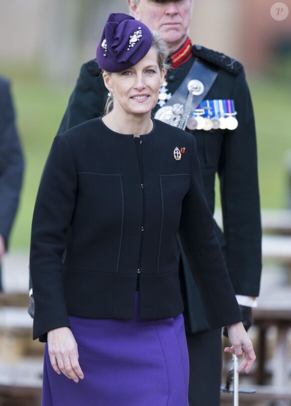 Sophie de Wessex, femme du prince Edward et colonel en chef du Queen Alexandra's Royal Army Nursing Corps, décernait le 2 novembre 2012 des médailles de service opérationnel pour l'Afghanistan à des soldats de l'unité médicale 22 Field Hospital de retour de la province du Helmand, à Aldershot.