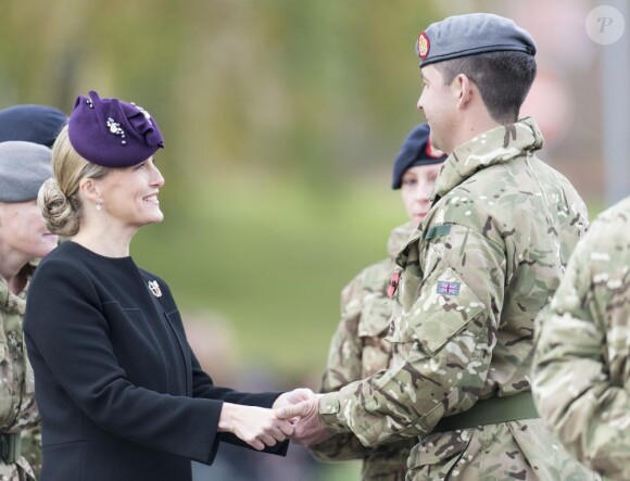 La comtesse Sophie de Wessex, colonel en chef du Queen Alexandra's Royal Army Nursing Corps, décernait le 2 novembre 2012 des médailles de service opérationnel pour l'Afghanistan à des soldats de l'unité médicale 22 Field Hospital de retour de la province du Helmand, à Aldershot.
