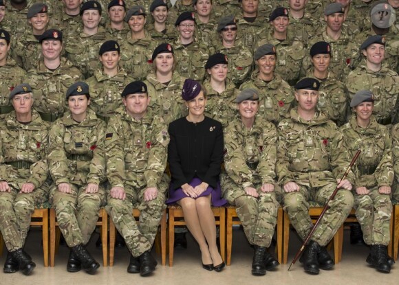 Sophie de Wessex bien entourée : colonel en chef du Queen Alexandra's Royal Army Nursing Corps, elle décernait le 2 novembre 2012 des médailles de service opérationnel pour l'Afghanistan à des soldats de l'unité médicale 22 Field Hospital de retour de la province du Helmand, à Aldershot.