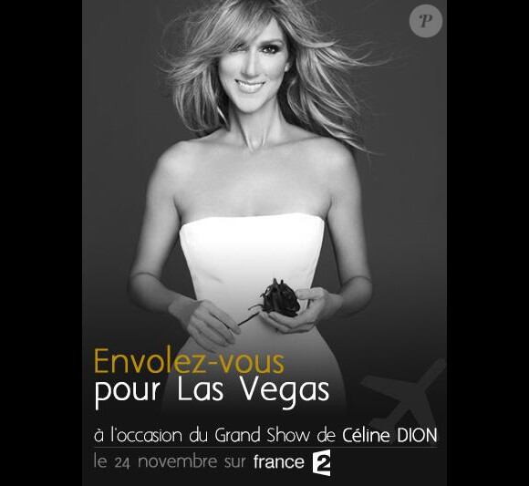 Affiche du grand show de Céline Dion sur France 2 le samedi 24 novembre 2012.