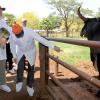 Le prince Willem-Alexander et la princesse Maxima des Pays-Bas au deuxième jour de leur visite officielle au Brésil : en visite à Lagoa de la société néerlandaise CRV Lagoa, qui produit des aliments pour animaux, le 20 novembre 2012.