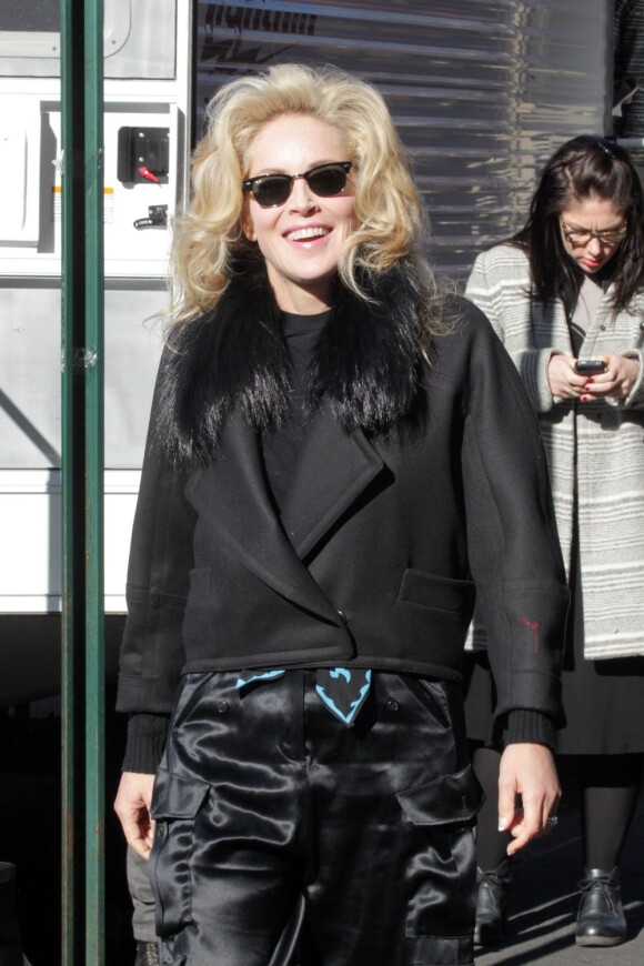 Sharon Stone, radieuse à souhait sur le tournage du film Fading Gigolo à New York, le 26 novembre 2012.