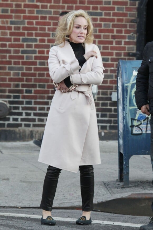 Sharon Stone, bourrée d'énergie sur le tournage de Fading Gigolo à New York, le 26 novembre 2012.