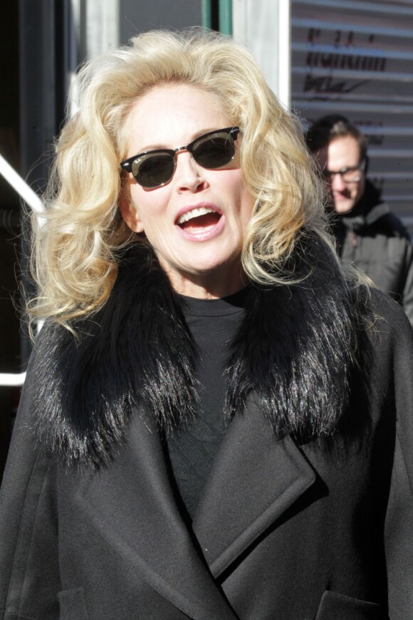 Sharon Stone tout énergie sur le tournage de Fading Gigolo à New York, le 26 novembre 2012.