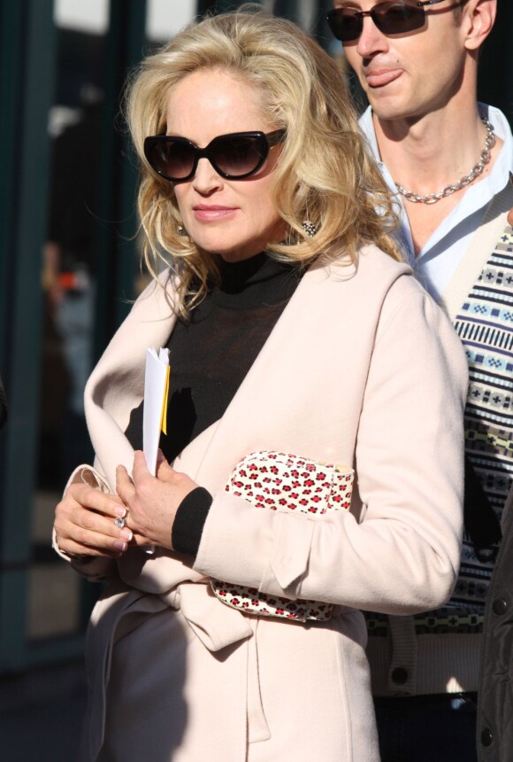 Sharon Stone classe et élégante sur le tournage de Fading Gigolo à New York, le 26 novembre 2012.
