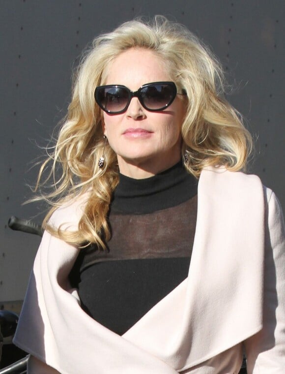 Sharon Stone, lunettes de soleil et manteau classe, la marque du glamour sur le tournage de Fading Gigolo à New York, le 26 novembre 2012.