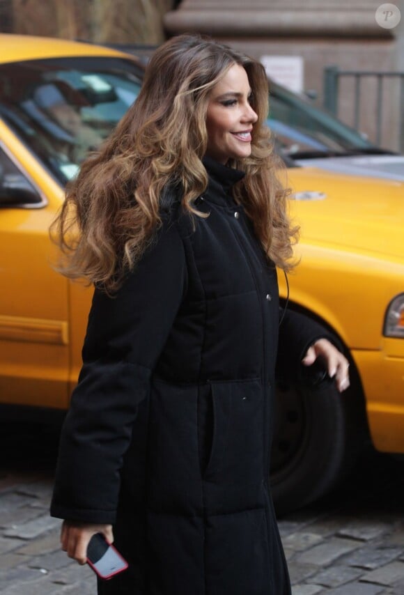 Sofia Vergara arrive sur le tournage de Fading Gigolo à New York, le 29 novembre 2012.