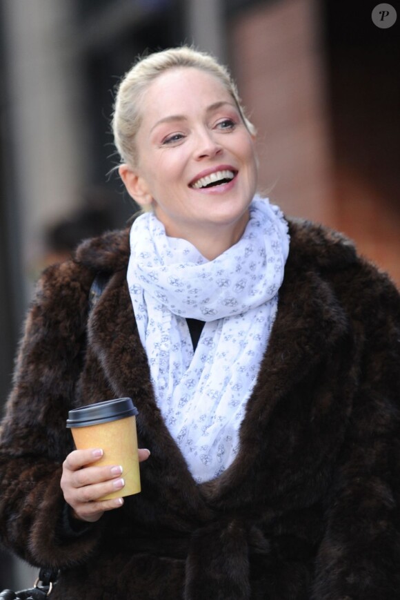 Sharon Stone arrive joyeuse sur le tournage du film Fading Gigolo à New York, le 29 novembre 2012.