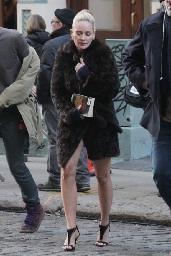 Sharon Stone n'a pas froid aux yeux sur le tournage de Fading Gigolo à New York, le 29 novembre 2012.