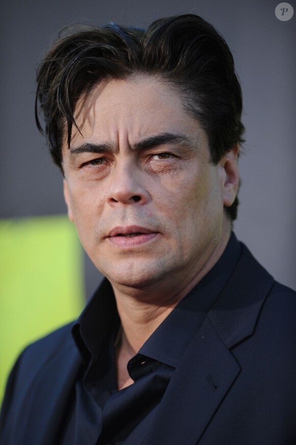 Benicio Del Toro à l'avant-première de Savages. Los Angeles, le 25 juin 2012.
