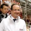 François Hollande en visite au marché de Ringis le 27 décembre 2012.