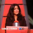Le premier talent de The Voice, saison 2 - le samedi 2 février 2013 sur TF1 - Il s'appelle Olympe