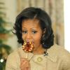 Michelle Obama à Washington, le 28 novembre 2012. 