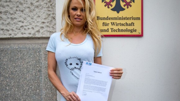 Pamela Anderson : Une bimbo au grand coeur pour sauver les phoques
