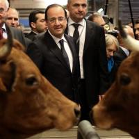 François Hollande : Au Salon de l'Agriculture, il efface Sarkozy d'une vacherie