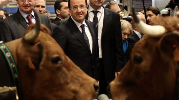 François Hollande : Au Salon de l'Agriculture, il efface Sarkozy d'une vacherie