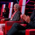 Garou, Louis Bertignac, Jenifer et Florent Pagny, les quatres coaches The Voice 2 diffusée depuis le 2 février 2013 sur TF1.