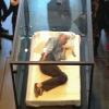Tilda Swinton dort dans une grande boîte de verre à l'occasion d'une performance artistique donnée au MoMa à New York, le 23 mars 2013.