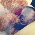 Justin Bieber pose avec son petit capucin, Mally, reçu en cadeau pour ses 19 ans.