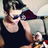 Justin Bieber : Il a quatre semaines pour revoir son singe retenu en Allemagne