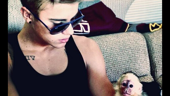 Justin Bieber : Il a quatre semaines pour revoir son singe retenu en Allemagne
