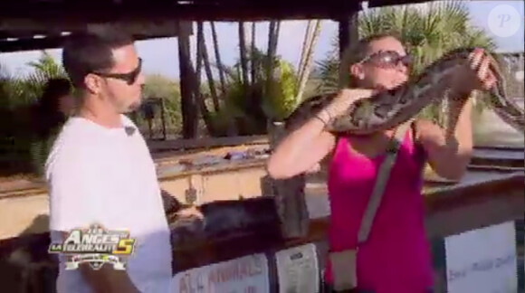 Fred et un python dans les Anges de la télé-réalité 5, vendredi 26 avril 2013 sur NRJ12