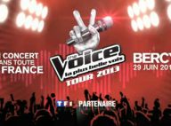 The Voice 2 : Huit talents soulagés en route pour The Voice Tour 2013