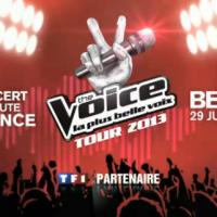 The Voice 2 : Huit talents soulagés en route pour The Voice Tour 2013