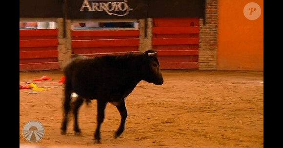 Armelle dans l'arène de "Pekin Express : Le coffre maudit" lors du huitième épisode, diffusé le mercredi 22 mai à 20h50 sur M6.