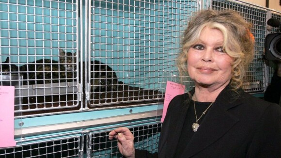 Brigitte Bardot : Ses deux éléphantes protégées définitivement sauvées !