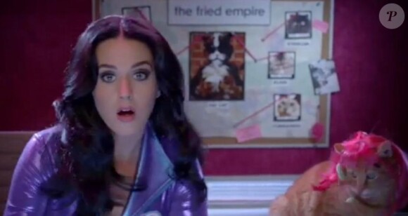 Katy Perry s'illustre dans la nouvelle publicité pour les chips Popchips.