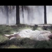 Eurovision 2013 : La gagnante Emmelie de Forest, radieuse pour 'Only Teardrops'