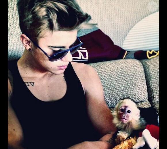 Justin Bieber pose avec son petit capucin, Mally, reçu en cadeau pour ses 19 ans en mars 2013.