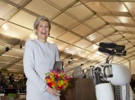 Maxima des Pays-Bas : Sublime et royale pour une rencontre insolite