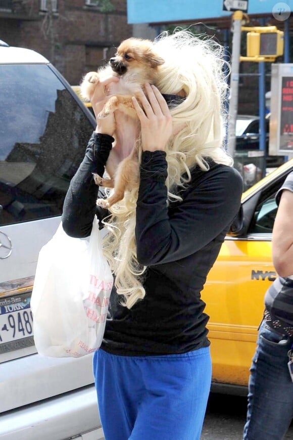 Amanda Bynes et son chien bouclier à New York, le 10 juillet 2013.