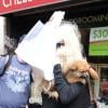 Amanda Bynes et son chien bouclier à New York, le 10 juillet 2013.